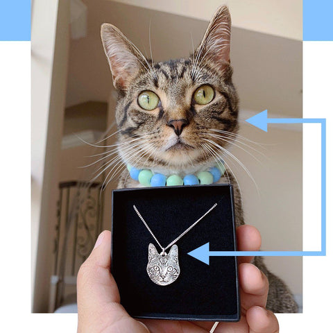 Your Pet as a Necklace Jewellery Bailey's Blanket 